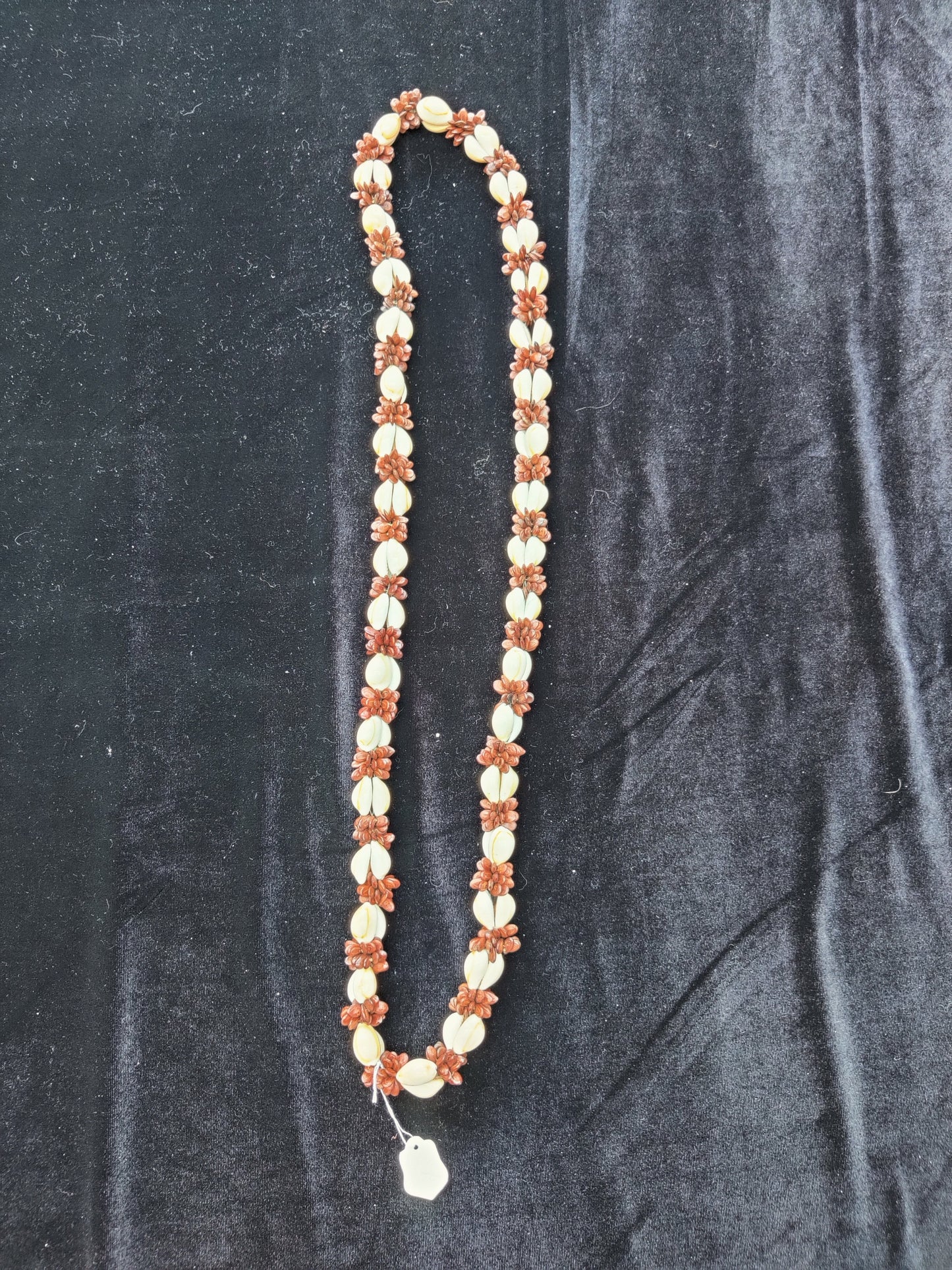 Longer length shell necklace